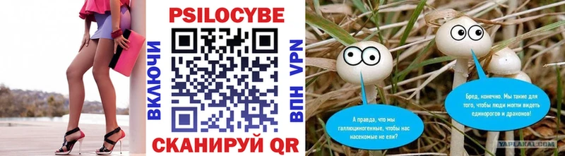 Купить закладки  Октябрьский  Галлюциногенные грибы GOLDEN TEACHER 