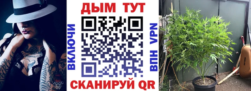 Бошки марихуана марихуана Октябрьский